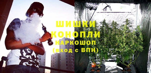 гидра Богородицк