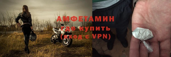 гидра Богородицк