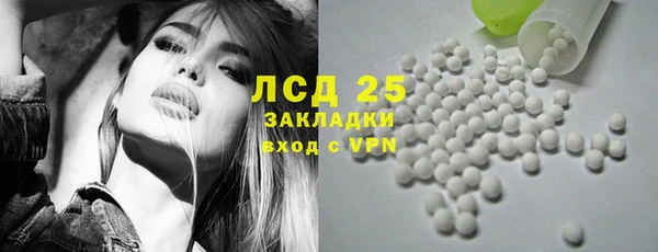 гидра Богородицк