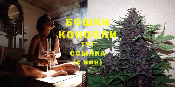первитин Богданович
