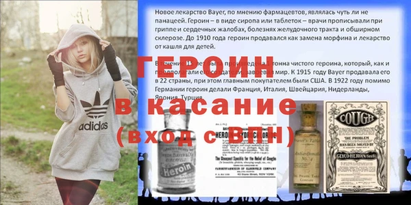 гидра Богородицк
