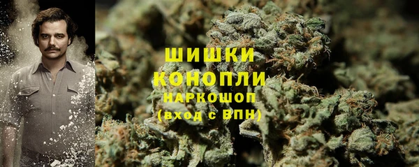 первитин Богданович