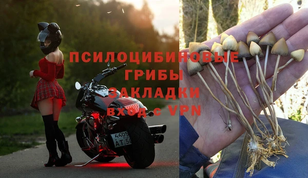 первитин Богданович