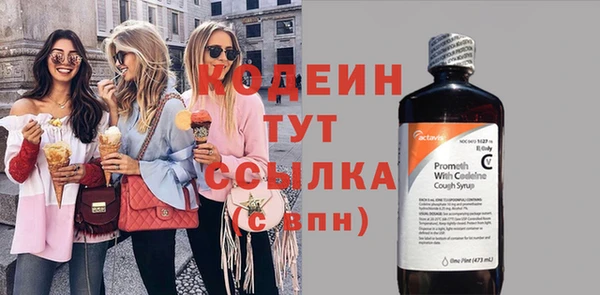 гидра Богородицк