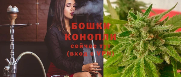 гидра Богородицк