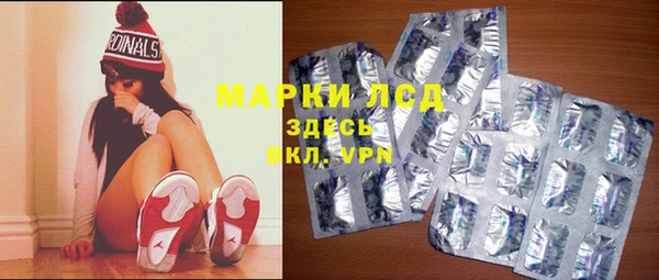 гидра Богородицк