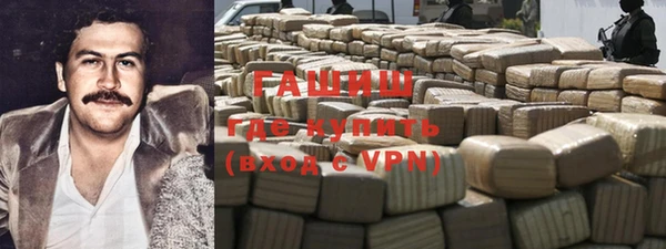 гидра Богородицк