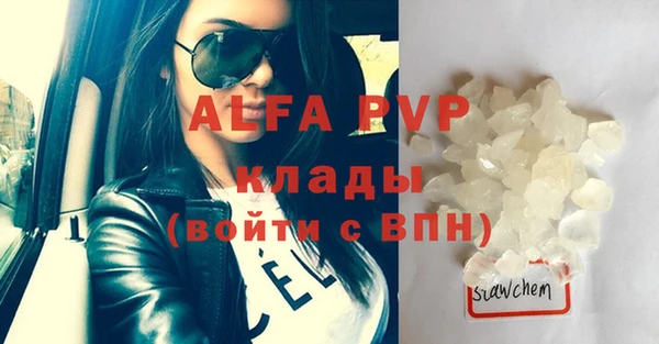 гидра Богородицк