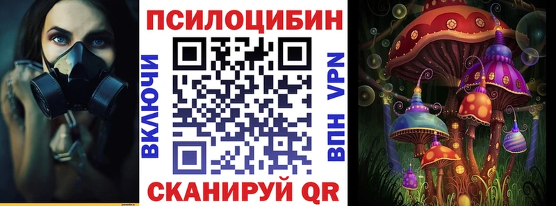 Галлюциногенные грибы Psilocybe дарк нет официальный сайт Кедровый